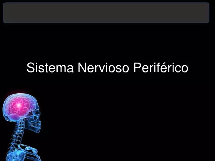 PPT Sistema Nervioso Periférico PowerPoint Presentation free