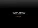 Ppt Treating For Genital Herpes Genitalherpesdatingsites Info