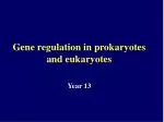 Ppt Chapter Gene Regulation In Eukaryotes Powerpoint Presentation