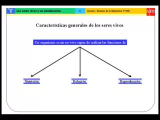 Ppt Tema La Clasificaci N De Los Seres Vivos Powerpoint