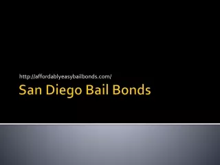 Bail Bond Company