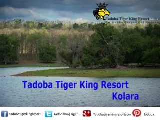 Tadoba Tiger King Resort : A Luxury Hotel in Tadoba