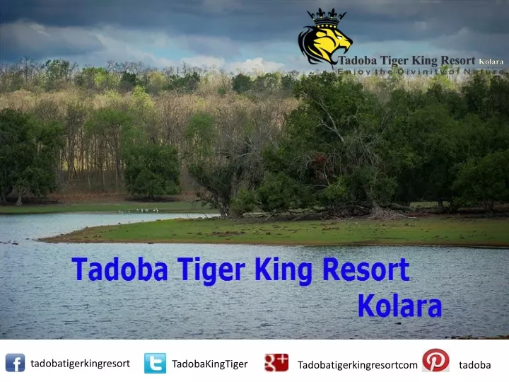 tadoba tiger king resort