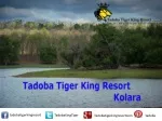 Tadoba Tiger King Resort : A Luxury Hotel in Tadoba