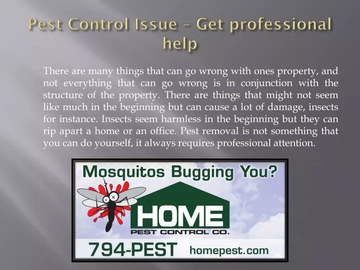pest control issue get professional help