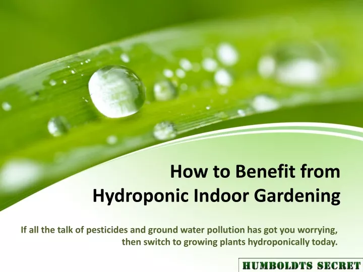 how to benefit from hydroponic indoor gardening