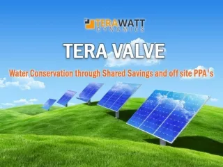 Alternative Energy Finance Solutions – TeraWatt Dynamics