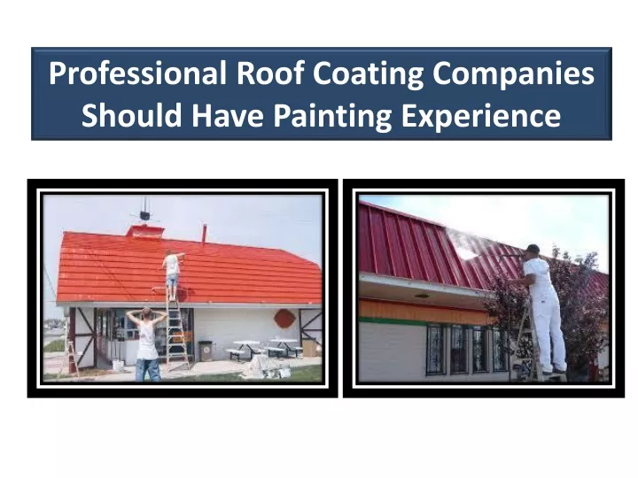 professional roof coating companies should have