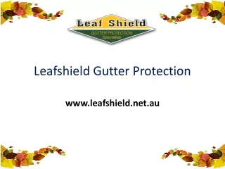 Leaf Gutter Guard Protection Service in Sydney