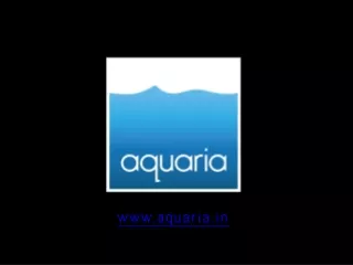 For Planted Fish Aquarium Chennai, India visit Aquaria.in