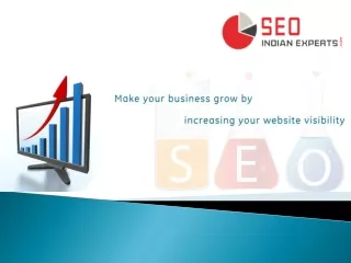 SEO Indian Experts-Services