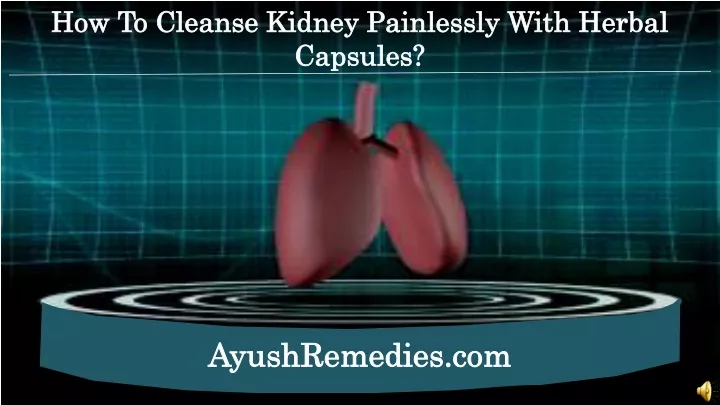 how to cleanse kidney painlessly with herbal