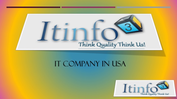 it company in usa