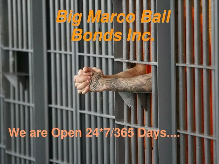 big marco bail bonds inc