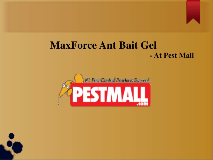 maxforce ant bait gel at pest mall