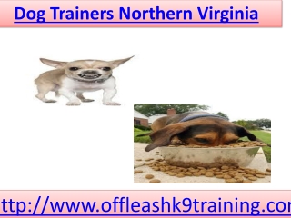 Dog Trainers Northern Virginia
