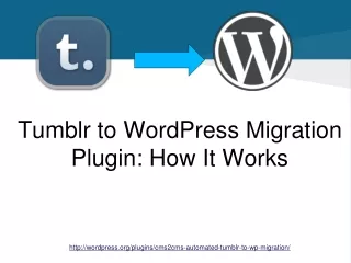 Tumblr to WordPress Migration Plugin. How It Works