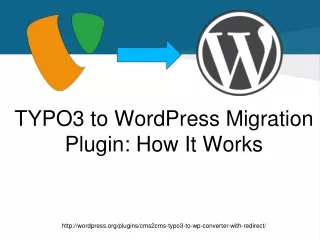 TYPO3 to WordPress Migration Plugin: How It Work