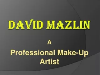 David Mazlin - Make-Up Artist