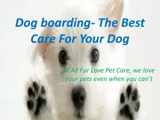Dog boarding- The Best Care For Your Dog