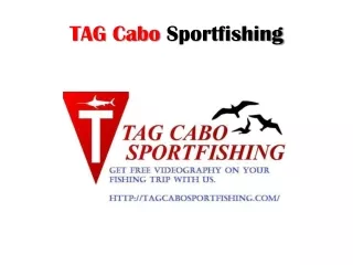 cabo san lucas sportfishing packages