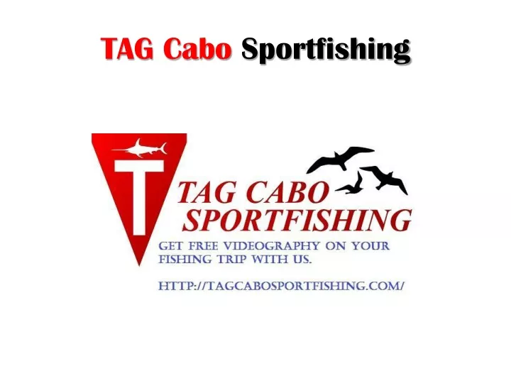 tag cabo sportfishing