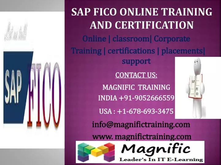 sap fico online training and certification