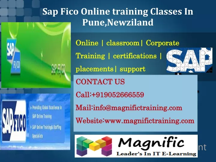 sap fico online training classes in pune newziland