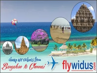 Book Flights from Bangalore to Chennai and Discover the Dive
