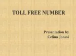 straight talk toll free number
