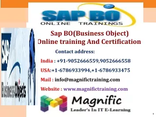 Sap BO(Business Object) Online Training And Certification
