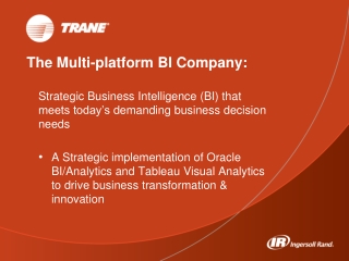 The Multi-platform BI Company: