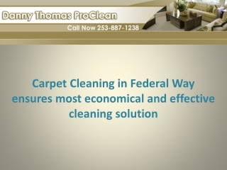 Carpet cleaning in Federal Way ensures cleaning solution