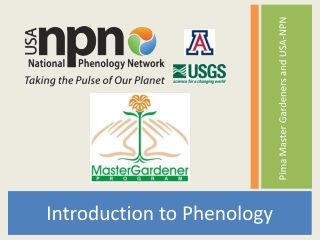 Tucson Phenology Monitoring Project