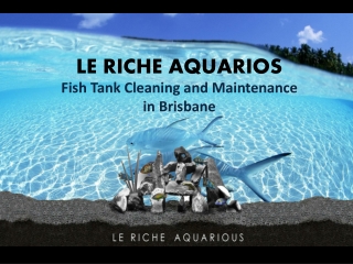 Fish Tank Cleaner | Aquarium Cleaner
