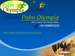 Palm Olympia