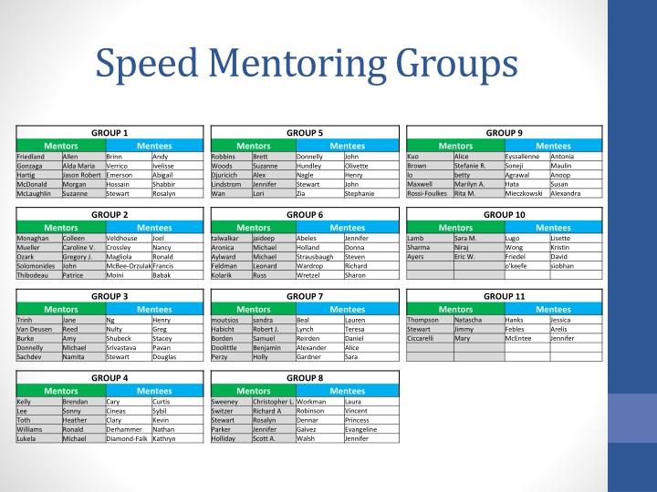 speed mentoring groups