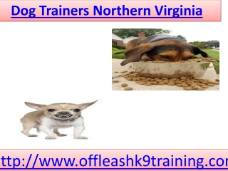 Northern Virginia Dog Trainers