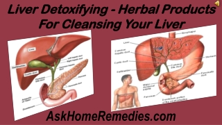Liver Detoxifying - Herbal Products For Cleansing Your Liver