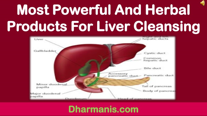 most powerful and herbal products for liver