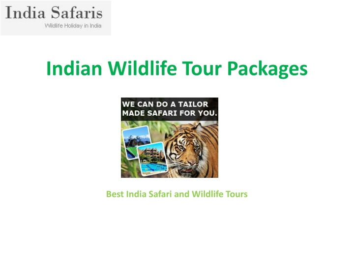 indian wildlife tour p ackages