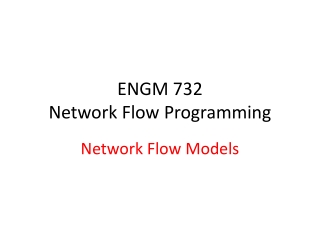 ENGM 732 Network Flow Programming