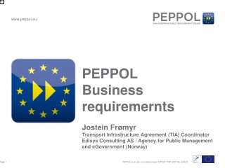 peppol business requiremernts