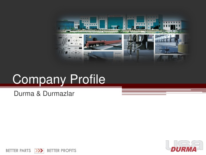 company profile