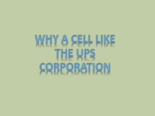 Why a cell like the ups corporation