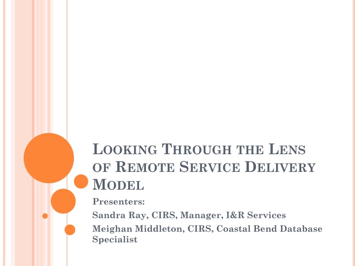 looking through the lens of remote service delivery model