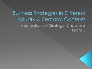 Business Strategies in Different Industry &amp; Sectoral Contexts