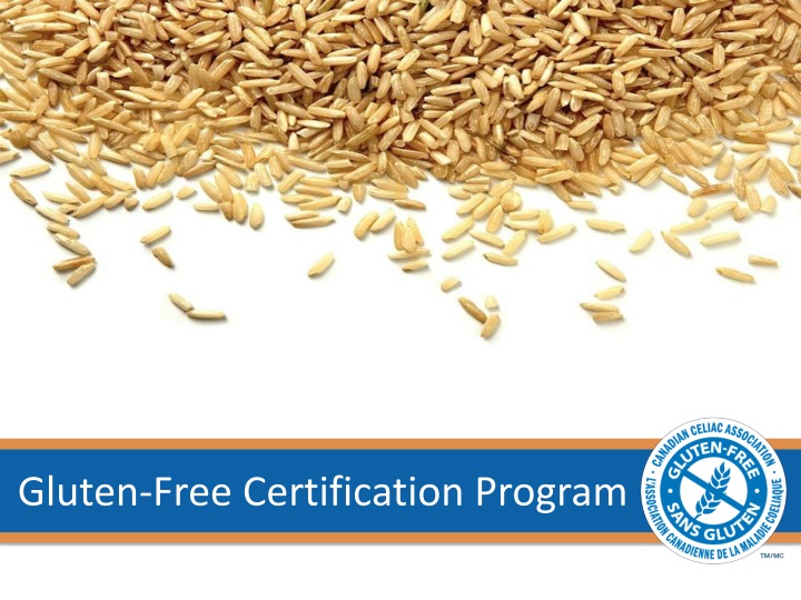 gluten free certification program