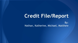 Credit File/Report