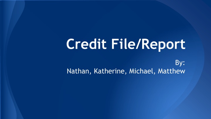 credit file report